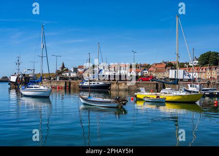 Farbenfrohe Yachten und Boote, die im Hafen von St Monans in East Neuk of Fife, Schottland, Großbritannien, vor Anker liegen Stockfoto