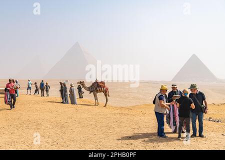 Eine Reisegruppe, die einen Kamelritt an den Pyramiden von Gizeh in Ägypten organisiert Stockfoto