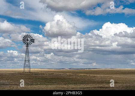 Landwirtschaftliches Inland Pacific Northwest Aid Country im Frühling, WA Stockfoto