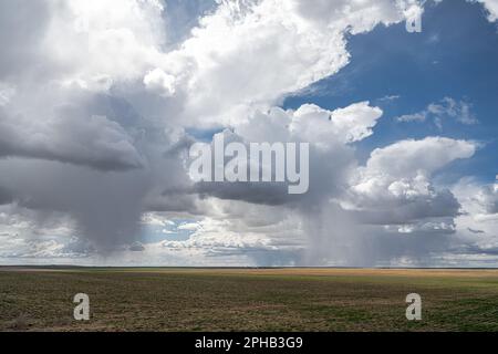 Landwirtschaftliches Inland Pacific Northwest Aid Country im Frühling, WA Stockfoto