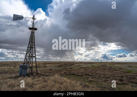 Landwirtschaftliches Inland Pacific Northwest Aid Country im Frühling, WA Stockfoto