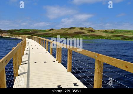 Eine schwimmende Promenade überquert Bowley Pond und führt zu Sanddünen im Greenwich-Teil des Prince Edward Island National Park in Kanada. Stockfoto