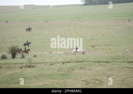 Reiter mit einem Rudel Fuchshunde begeben sich auf die Jagd nach einem Fuchs (Vulpes vulpes) in der Winterlandschaft Stockfoto