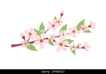 Kirschblütenzweig. Süße Vektordarstellung auf weißem Hintergrund Stock Vektor