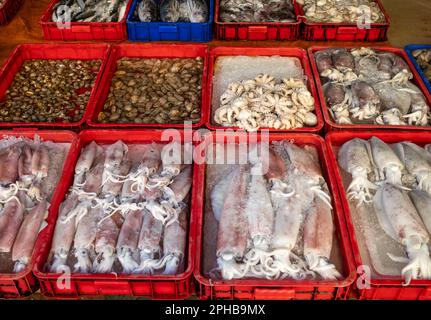 Tintenfische, Muscheln, Tintenfische und andere Meeresfrüchte werden auf dem zentralen Markt in Pleiku in den zentralen Highlands in Vietnam verkauft. Stockfoto