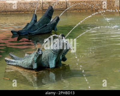 Wasserspeiende Fischskulpturen, Brunnen von St. Blasius auf dem Domplatz in Sankt Blasien, Schwarzwald, Baden-Wurttemberg, Deutschland, Europa. Stockfoto
