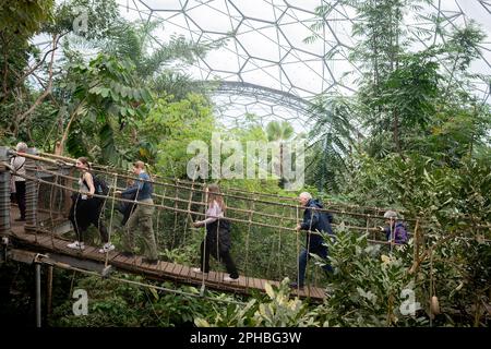 Besucher überqueren am 22. März 2023 im Eden Project in St. Austell, Cornwall, England, eine Kabelbrücke über dem Rainforest Biome. Das Rainforest Biome ist ein überdachter Regenwaldlebensraum in der Nähe von St. Austell in Cornwall. Besucher wandern durch feuchte, tropische Inseln nach Südasien und Westafrika nach Südamerika bei Temperaturen zwischen 18 und 35C Grad, umgeben von über 1.000 tropischen Pflanzen und Vegetation. Stockfoto