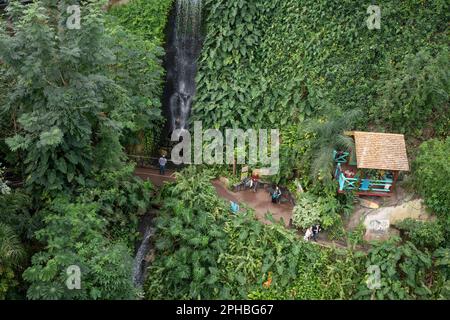 Besucher werden am 22. März 2023 im Rainforest Biome im Eden Project in St. Austell, Cornwall, England, neben einem Wasserfall gesehen. Das Rainforest Biome ist ein überdachter Regenwaldlebensraum in der Nähe von St. Austell in Cornwall. Besucher wandern durch feuchte, tropische Inseln nach Südasien und Westafrika nach Südamerika bei Temperaturen zwischen 18 und 35C Grad, umgeben von über 1.000 tropischen Pflanzen und Vegetation. Stockfoto