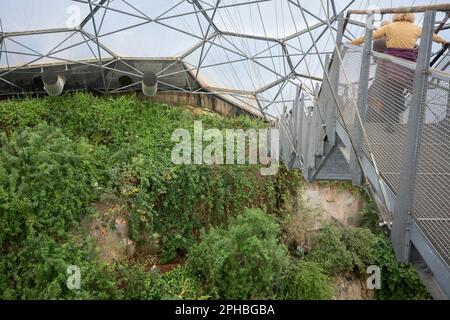 Besucher werden im Rainforest Biome at the Eden Project am 22. März 2023 in St. Austell, Cornwall, England, gesehen. Das Rainforest Biome ist ein überdachter Regenwaldlebensraum in der Nähe von St. Austell in Cornwall. Besucher wandern durch feuchte, tropische Inseln nach Südasien und Westafrika nach Südamerika bei Temperaturen zwischen 18 und 35C Grad, umgeben von über 1.000 tropischen Pflanzen und Vegetation. Stockfoto