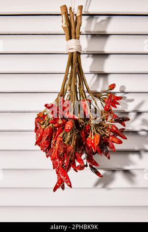 Ein Haufen getrockneter Chili-Paprika, die in der Sonne an einer weißen Tür hängen Stockfoto