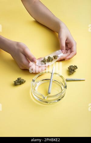 In Frauenhänden gibt es Papier für ein Gelenk, einen Filter und mehrere Knospen von trockenem medizinischem Marihuana, neben zwei vorgefertigten Gelenken verschiedener Größen und Stockfoto