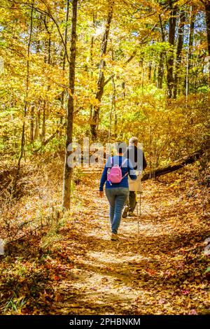 Das Seniorenpaar wandert im Herbst in den Wäldern von North Carolina Stockfoto