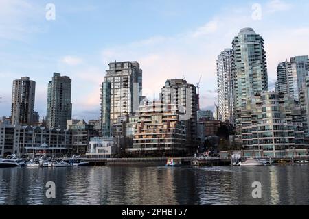 Das Licht des Sonnenuntergangs reflektiert die luxuriösen Hochhäuser entlang des False Creek, während ein Granville Island Wasserbus in Vancouver, British Columbia, die Segel setzt Stockfoto