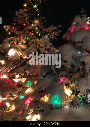 Zwei immergrüne Bäume im Freien, dekoriert mit Weihnachtslichtern und bedeckt mit einer schweren Schicht von neuem Schnee. Stockfoto