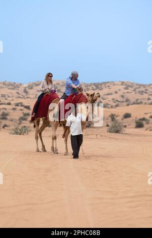 Dubai, Vereinigte Arabische Emirate - 22 2014. März: Touristen reiten Kamele in der Wüste Liwa außerhalb von Dubai. Stockfoto