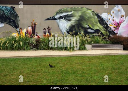 Wandgemälde von Vögeln mit einem echten Amboss, der auf einem Rasen nach Würmern sucht, Christchurch, Neuseeland Stockfoto