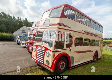 Klassischer Doppeldeckerbus Ribble Stockfoto