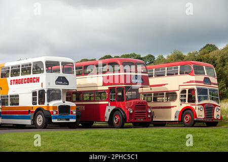 Klassische Oldtimer-Busse im Vintage Bus Museum in Fife Stockfoto