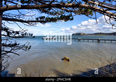 Llandudno victorian Pier North Wales UK Stockfoto