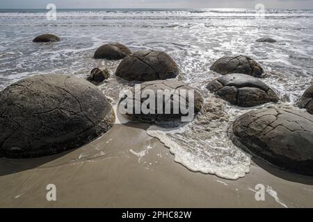 Moeraki Boulders, die Catlins, Südinsel, Neuseeland Stockfoto