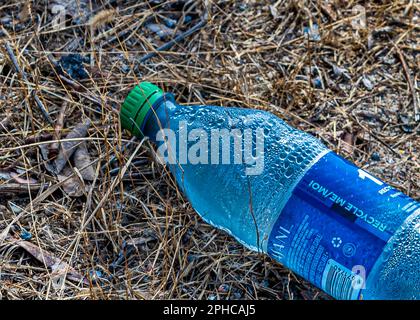 Schmutzige Umgebung. Eine Plastikflasche, die auf das Gras geworfen wird, verschmutzt und verstreut die Natur und die natürliche Umgebung. Pech für die Natur. Stockfoto