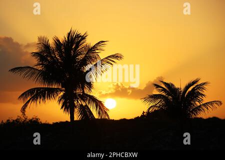 Aufgehende Sonne und Silhouetten von Kokospalmen am tropischen Strand, Hintergrund für Urlaub und Reisen Stockfoto