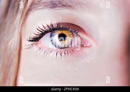 Foto der Iris des Auges einer jungen Frau Stockfoto