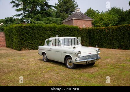 Ford Angial 1200 Delux, zweitürige Limousine, geparkt auf Gras in einer von Mauern umgebenen Garde mit einer hohen Hecke dahinter Stockfoto
