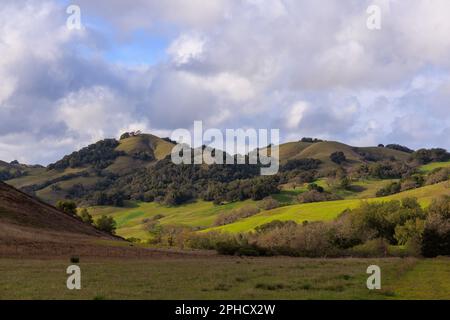 Nachmittags Sonnenlicht auf sanften grünen Hügeln unter flauschigen Wolken in der kalifornischen Landschaft Stockfoto