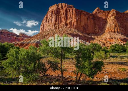 Burgformation (Wingate Sandstein) - Capitol Reef National Park Stockfoto