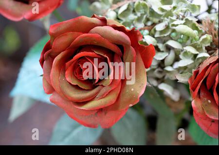 Verwitterte künstliche rote Rose auf einem vergessenen Grab Stockfoto