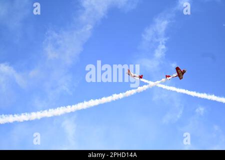 Das AeroShell-Team führt Luftmanöver auf der Defenders of Liberty Air Show 2023, Luftwaffenstützpunkt Barksdale, La., am 25. März 2023 durch. Der nordamerikanische AT-6 „Texan“ wurde ursprünglich als einfacher Trainer für das United States Army Air Corps entworfen. (USA Air Force Foto von Airman 1. Klasse William Pugh) Stockfoto