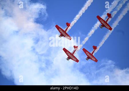 Das AeroShell-Team führt Luftmanöver auf der Defenders of Liberty Air Show 2023, Luftwaffenstützpunkt Barksdale, La., am 25. März 2023 durch. Der nordamerikanische AT-6 „Texan“ wurde ursprünglich als einfacher Trainer für das United States Army Air Corps entworfen. (USA Air Force Foto von Airman 1. Klasse William Pugh) Stockfoto