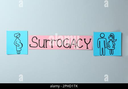 Notizen in Papierform mit dem Wort Surrogacy und Zeichnungen auf hellgrauem Hintergrund, flach liegend Stockfoto