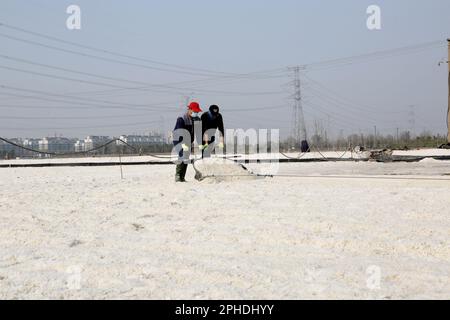 LIANYUNGANG, CHINA - 28. MÄRZ 2023 - Arbeiter arbeiten auf dem Dapu-Salzfeld in Lianyungang, Ost-Chinas Provinz Jiangsu, 28. März 2023. Stockfoto