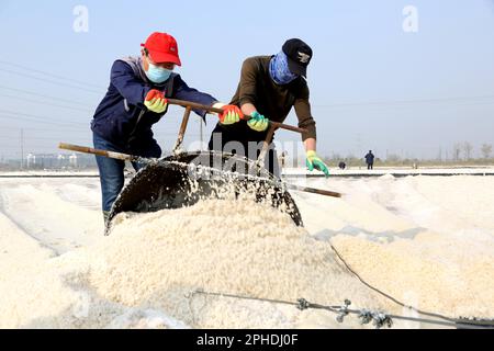 LIANYUNGANG, CHINA - 28. MÄRZ 2023 - Arbeiter arbeiten auf dem Dapu-Salzfeld in Lianyungang, Ost-Chinas Provinz Jiangsu, 28. März 2023. Stockfoto