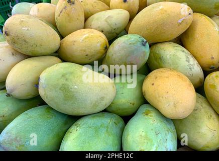 Ein Haufen frischer, farbenfroher tropischer Mangos im Supermarkt Stockfoto