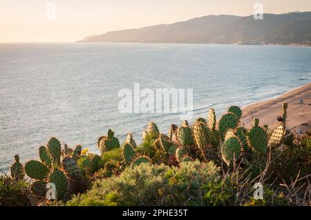 Point Dume State Beach in Kalifornien Stockfoto