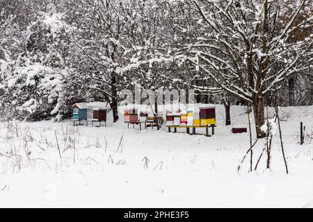 Bienenstöcke im Winter mit Tiefschnee bedeckt Stockfoto