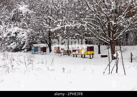 Bienenstöcke im Winter mit Tiefschnee bedeckt Stockfoto