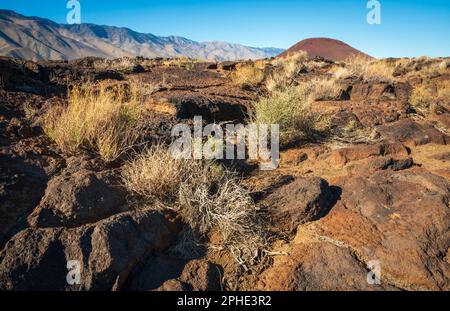 Red Hill Cinder Cone in Kalifornien Stockfoto