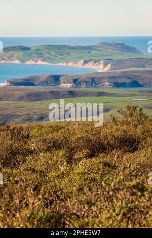 Point Reyes National Seashore in Kalifornien Stockfoto