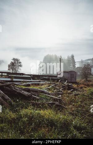 Gefallene trockene Baumstämme auf hügeligen Grasflächen in der Nähe Kleine Hütte umgeben von Bäumen bei nebligen Wetter im Herbst Auf dem Land Stockfoto