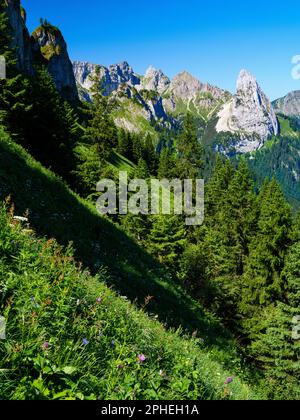 Blick auf Mt. Geiselstein. Naturpark Ammergau Alpen (Ammergauer Alpen) in den nördlichen Kalksteinalpen Oberbayerns. Europa, Deutschland, Bayern Stockfoto