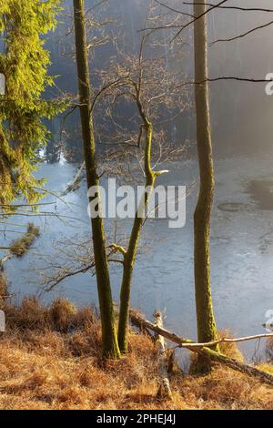 Frühling in Warmia und Mazury, Polen Stockfoto