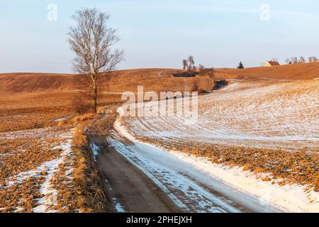 Frühling in Warmia und Mazury, Polen Stockfoto