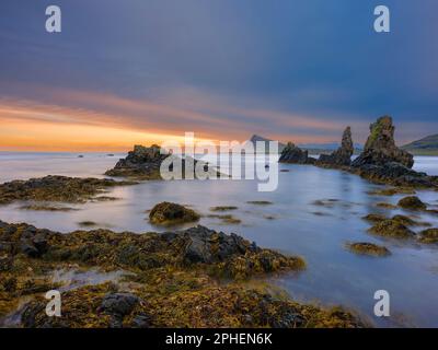 Küstenlandschaft im Arneshreppur an der Bucht Trekyllisvik. Der Strandir in den Westfjorden (Vestfirdir) in Island im Herbst. Europa, Nordeuropa Stockfoto