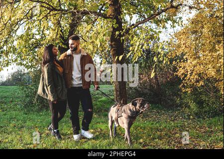 Ein junges Paar, das mit dem Hund in einem Park spaziert, eine herbstliche Landschaft, einen glücklichen Lebensstil für Tierfreunde und ein Beziehungskonzept Stockfoto