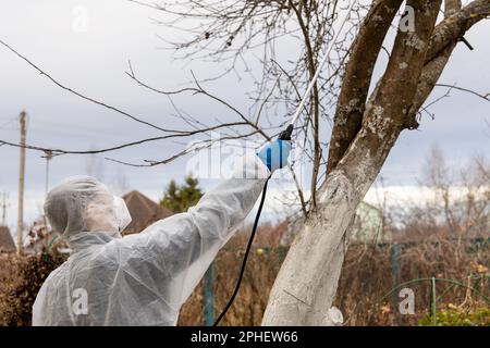 Einsatz von Chemikalien im Gartengartengärtner mit einem Insektizid, einem Dünger auf seine Obststräube, mit einem Sprühgerät Stockfoto