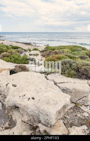 Festlandstrand auf der Festlandseite von Kreta gegenüber Ellafonissi. Der wunderschöne pinkfarbene Sand weicht den Wegen und Büschen und verleiht ihnen eine zusätzliche Dimension. Stockfoto